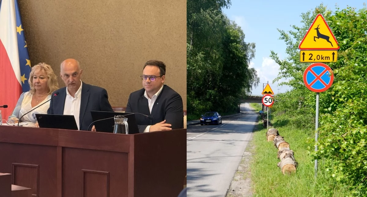 Życie miasta, Kłody Zalewie Sosina Jaworznie Państwowe prostują słowa prezydenta - zdjęcie, fotografia