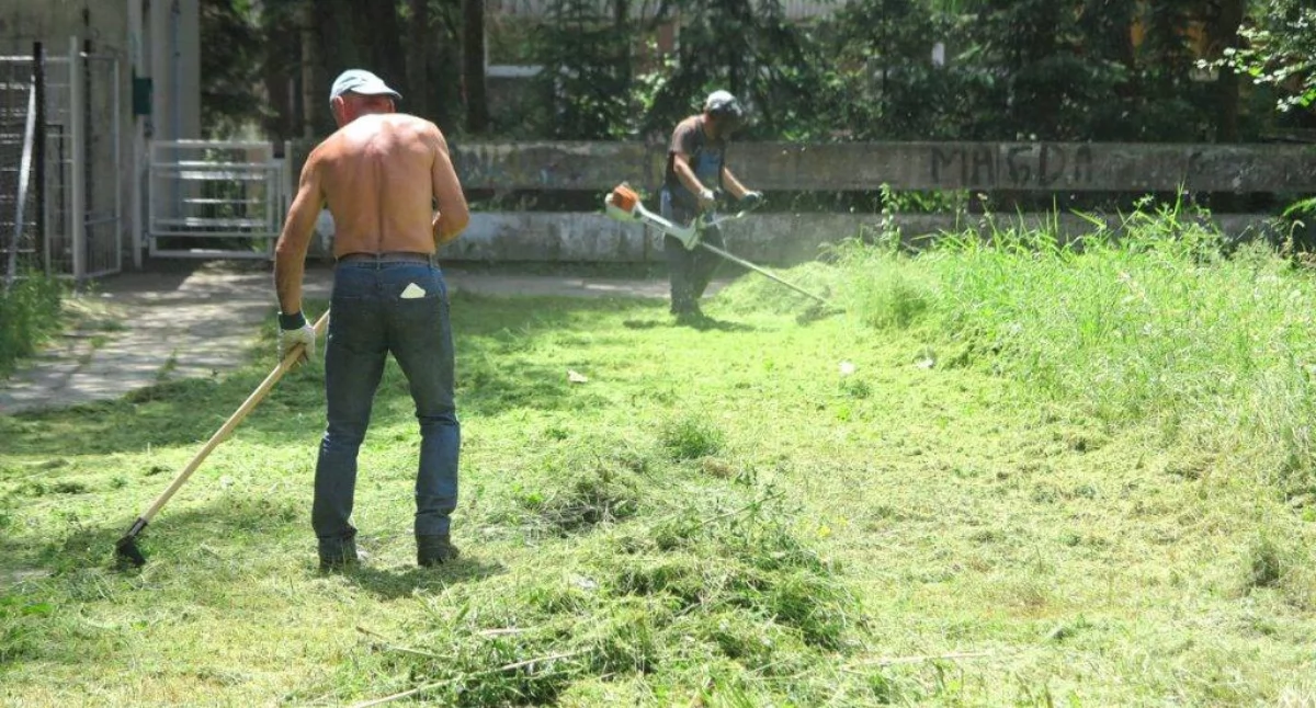 Życie miasta, MZDiM Jaworznie poszukuje pracownika Działu Przestrzeni Publicznej - zdjęcie, fotografia