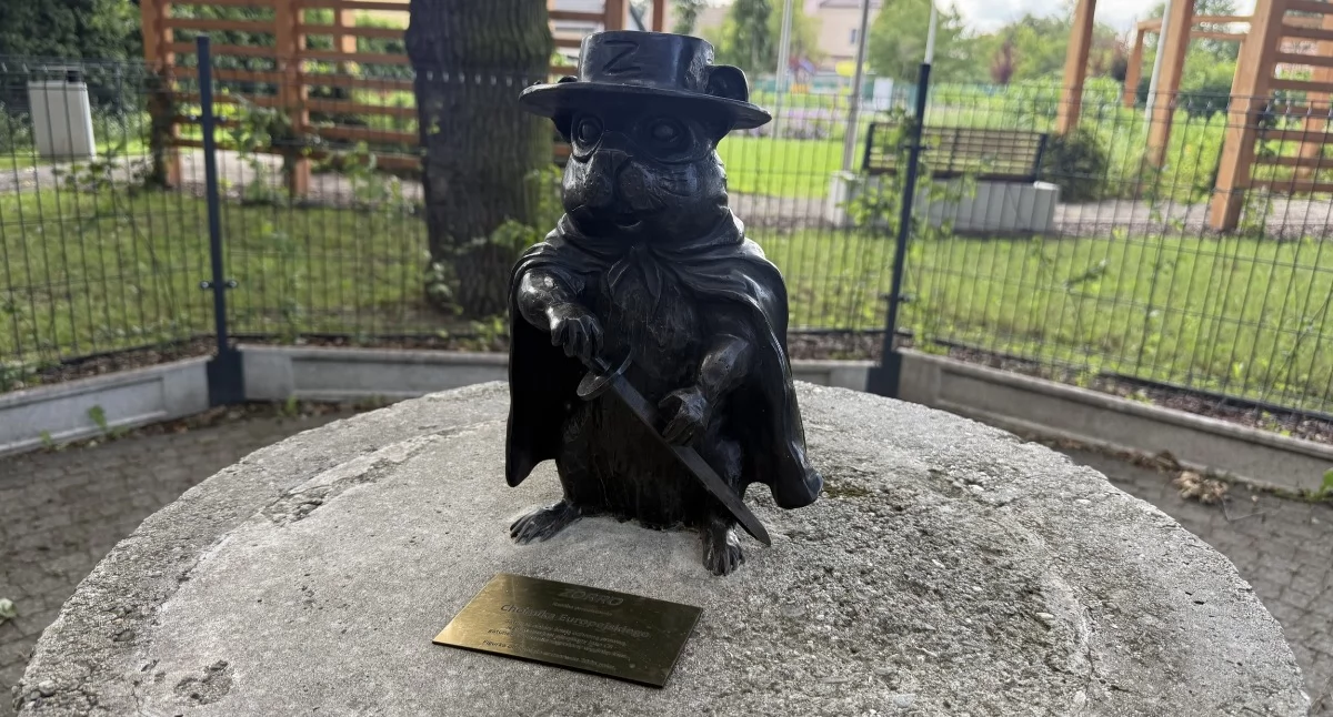 Chomik Zorro