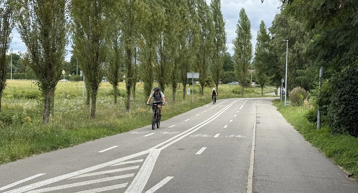 Życie miasta, Jaworzno rowerowym miastem przyszłości Eksperci docenili miejskie rozwiązania - zdjęcie, fotografia