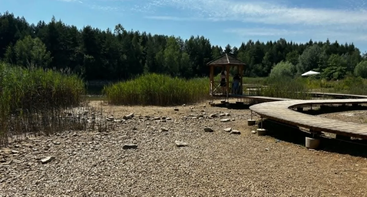 Park Gródek w Jaworznie