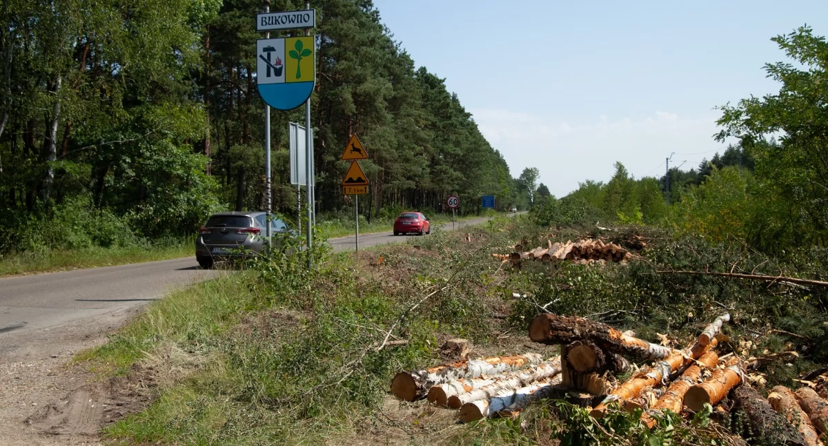 Trwa wycinka drzew, które kolidują z planowaną rozbudową drogi z Jaworzna do Bukowna. Fot. Patrycja Koprzak