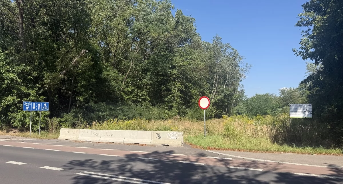 Skrzyżowanie ul. Katowickiej i Nowodługoszyńskiej