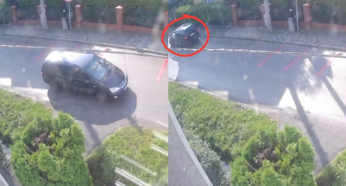 Życie miasta, Złodziej Byczyny zatrzymany Sprawa szczęśliwy finał - zdjęcie, fotografia