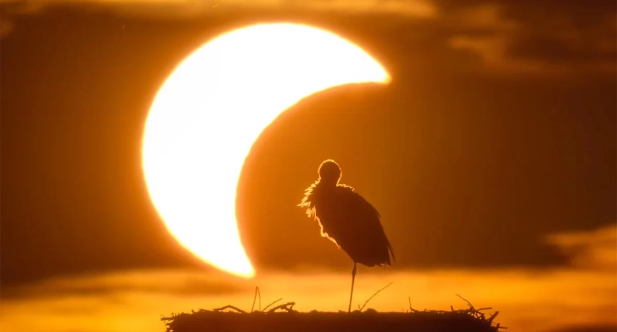 Ludzie, wyróżniła zdjęcie Włodzimierza Bubaka trzeci sukces - zdjęcie, fotografia