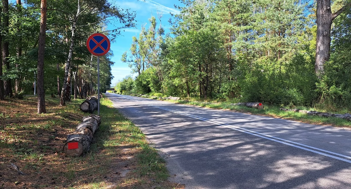Obecny widok kłód przy ulicy Bukowskiej w Jaworznie, na wysokości Zalewu Sosina. Fot. Patrycja Koprzak