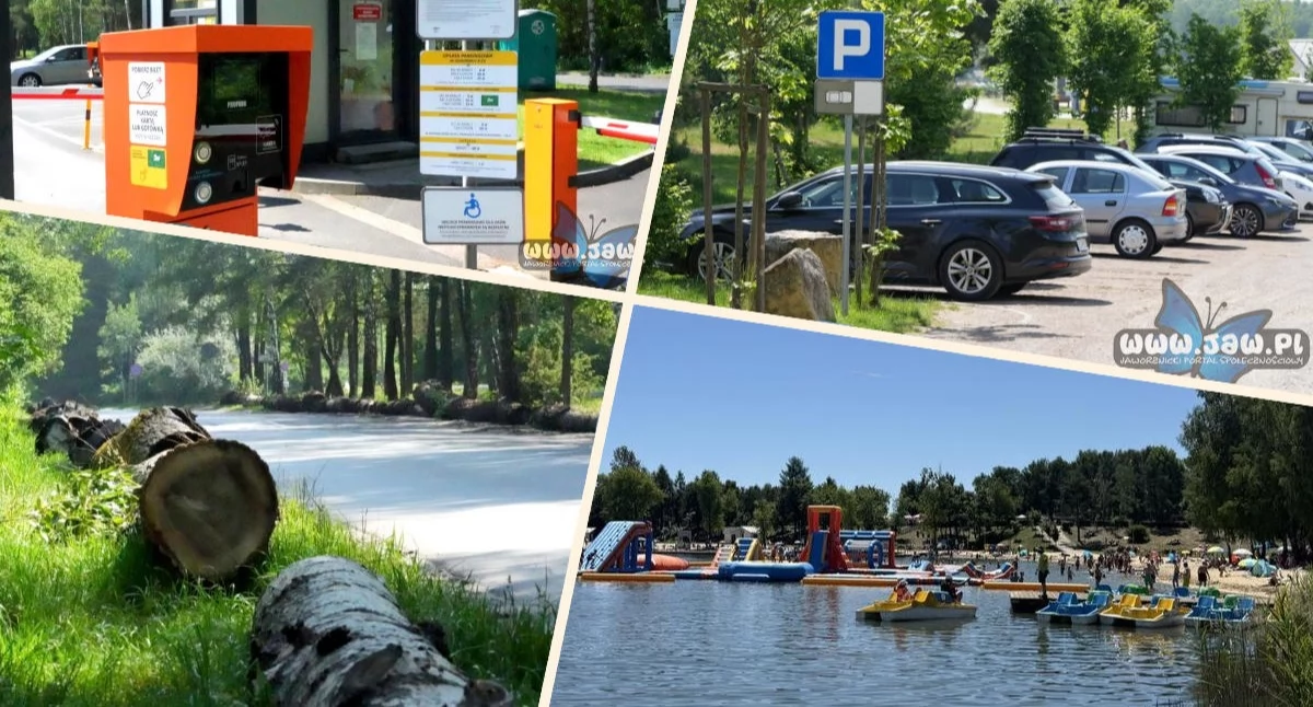 Felieton, Sekwoje parkingi system opłat Jakub Dąbek odsłania tajemnicę pniaków Sosinie - zdjęcie, fotografia