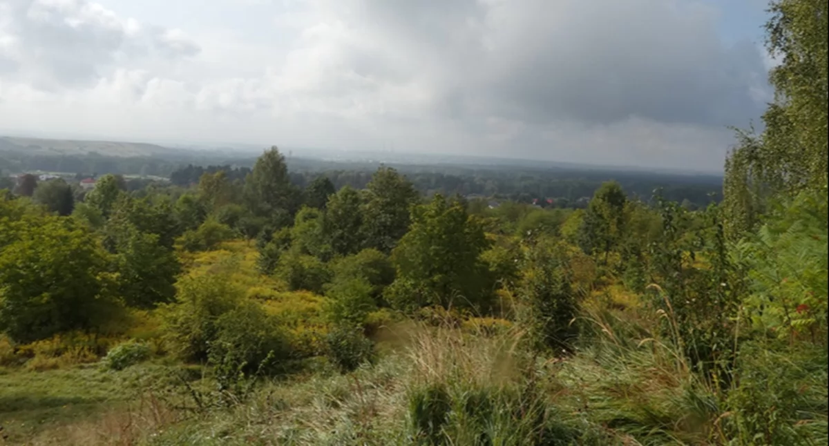 Widok z Grodziska