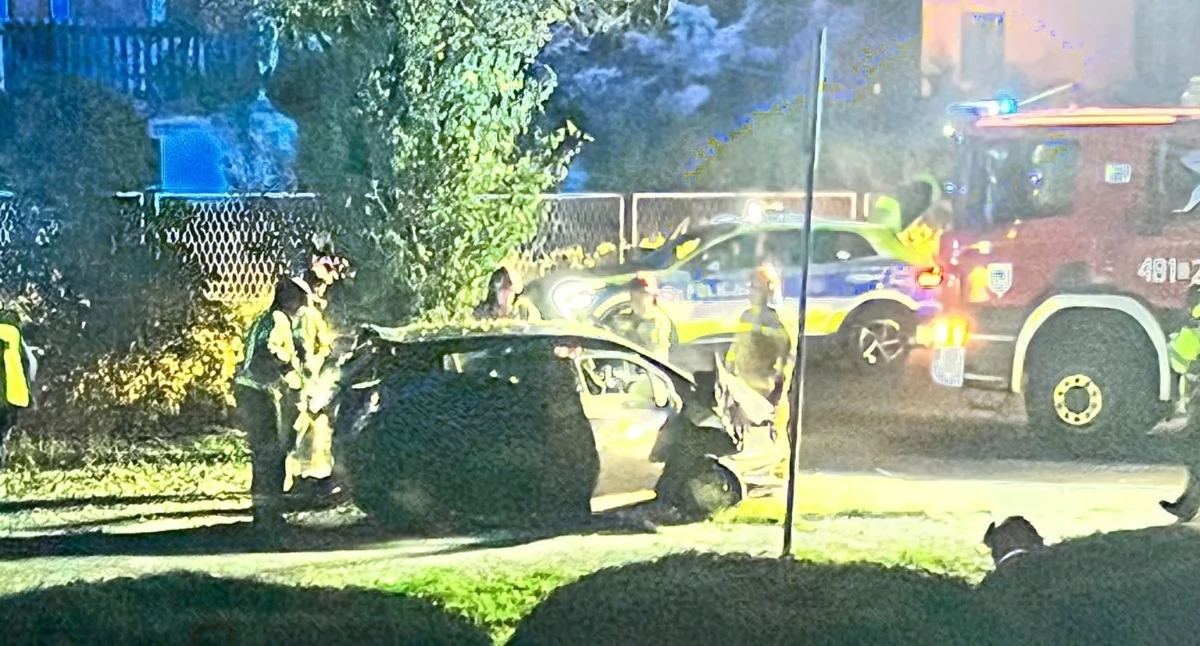 Wypadki drogowe, Pijany kierowca zakończył jazdę drzewie miał nawet prawa jazdy - zdjęcie, fotografia