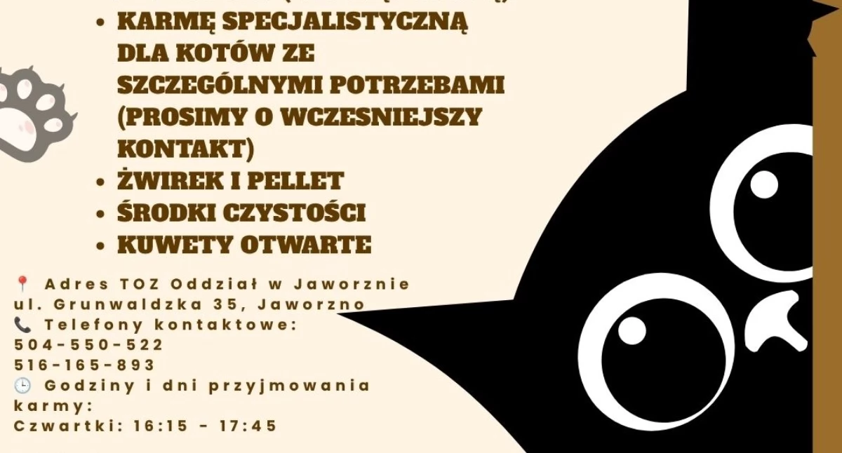Życie miasta, Jaworzno organizuje zbiórkę kotów Potrzebna karma środki codziennej opieki - zdjęcie, fotografia