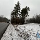 zdjęcie nr 19