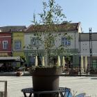 zdjęcie nr 8