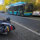 zdjęcie nr 223