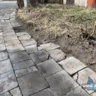 zdjęcie nr 10