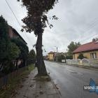 zdjęcie nr 15