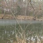 Resztka lodu, Żabnik, zachodni staw