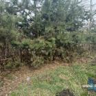 Zniszczona działka w Jeleniu