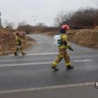 zdjęcie nr 8