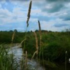 Kozłowa Góra i meandry Brynicy