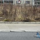 Rondo w Niedzieliskach