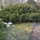 Okolice hali na Osiedlu Stałym. Fot. Patrycja Koprzak