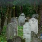 aworznicki kirkut skrywa historie dawnych mieszkańców miasta. Fot. Patrycja Koprzak