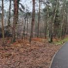 Wycięte drzewa na Osiedlu Stałym. Fot Barbara Ziętek