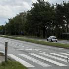 zdjęcie nr 8