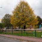 zdjęcie nr 30