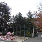 Wejmutka