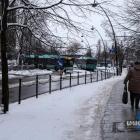 zdjęcie nr 48