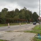 zdjęcie nr 12