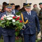 zdjęcie nr 42