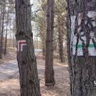 Stan oznakowań szlaków rowerowych w Jaworznie. Fot. Patrycja Koprzak