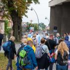 zdjęcie nr 8