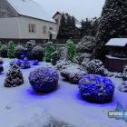 Posesja państwa Filar