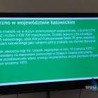 zdjęcie nr 10