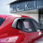 Izera Jaworzno - ElectroMobility Poland (1)