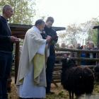 bacówka 2017 (5)