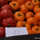 warzywa ceny jaworzno 2022 (9)