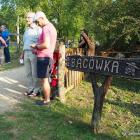 zdjęcie nr 11