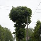 zdjęcie nr 12
