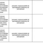 zdjęcie nr 23