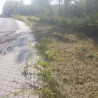 malczewskiego (1)