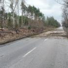 zdjęcie nr 10