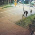 Kradzież doniczki z kwiatami w Jaworznie. Sprawczynię zarejestrował monitoring