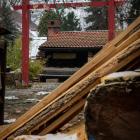 Przeżyj Adwent we Wspólnocie Betlejem.