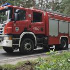 Fotka nr 5 z 13