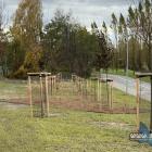 Nowy skwer w centrum Jaworzna