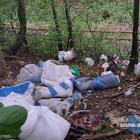 Dzikie wysypisko na Borach. Wiadra i siatki porzucone blisko drogi. Kto wyrzucił śmieci...